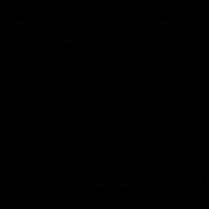 Meet your Posher, Akeem